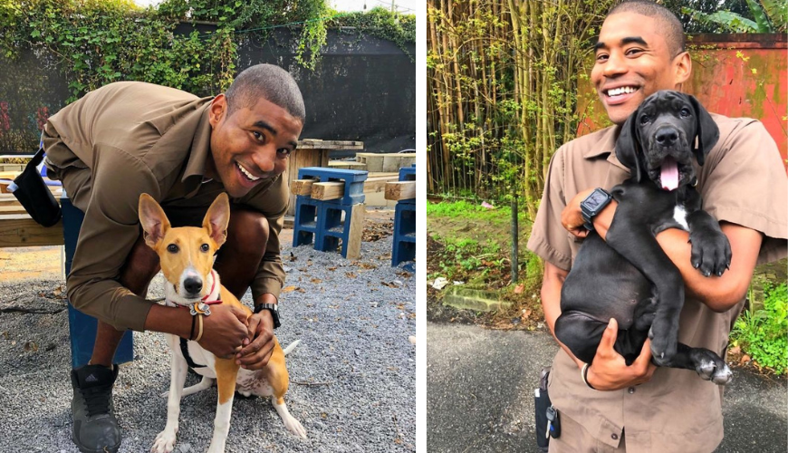 UPS Driver’s Heartwarming Tradition: Taking Photos with Dogs on His Route