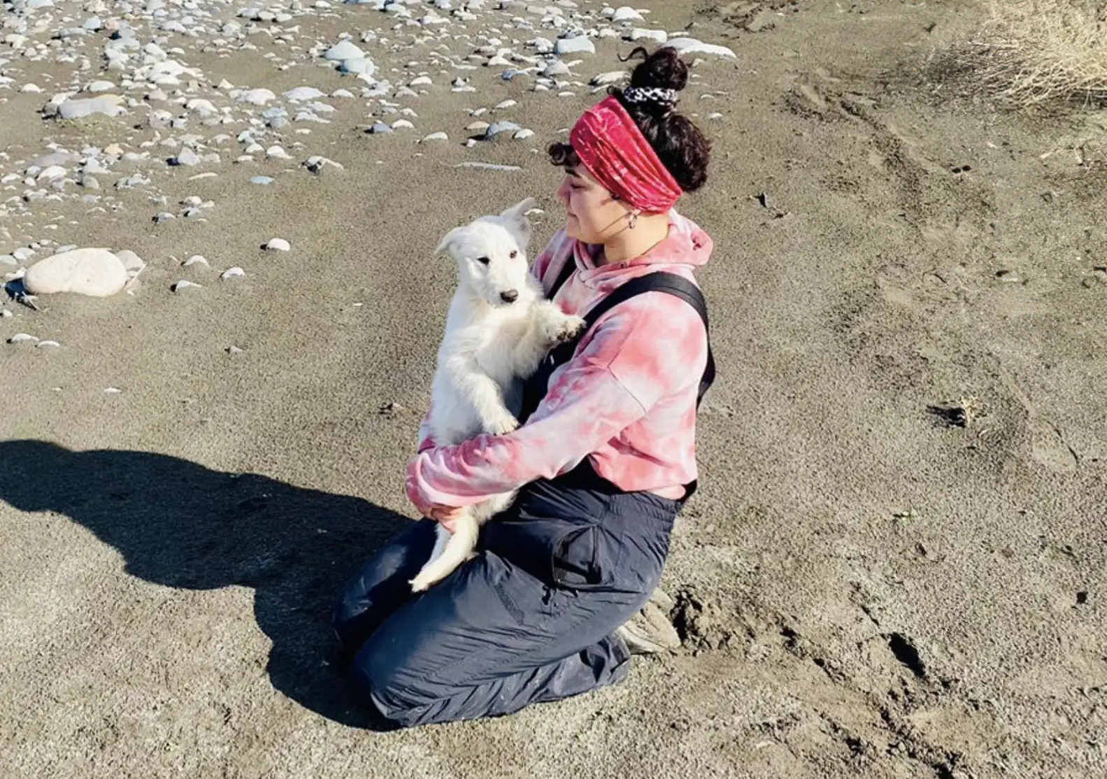 Heartwarming Tale: Woman Finds Abandoned Puppy After Saying Goodbye to Old Dog